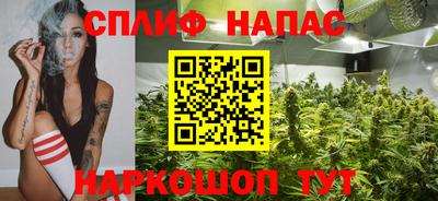 гидра Кинель