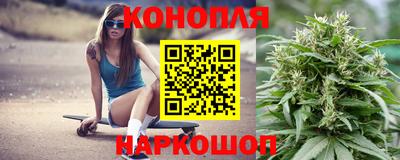 скорость Кингисепп