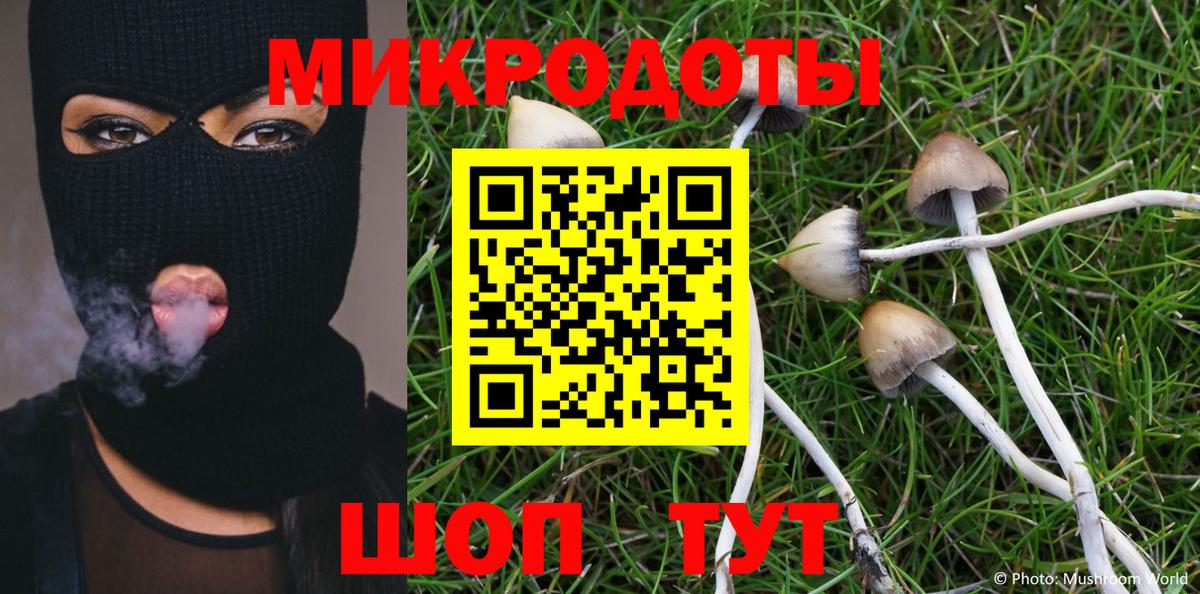 Трёхгорный  Псилоцибиновые грибы мицелий  Вход с VPN 