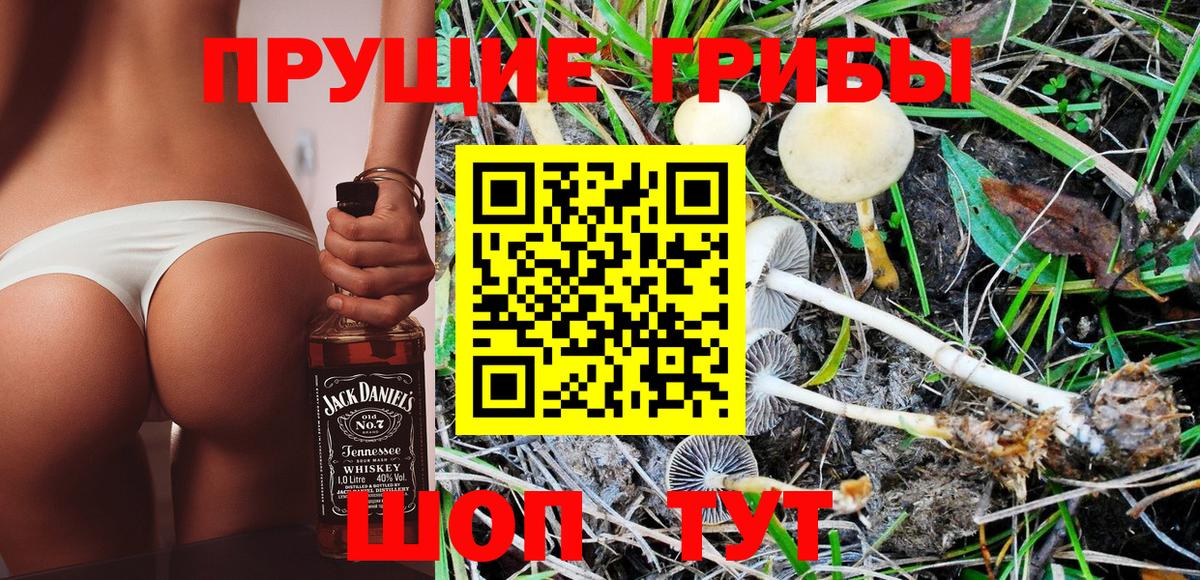 Галлюциногенные грибы MAGIC MUSHROOMS Трёхгорный